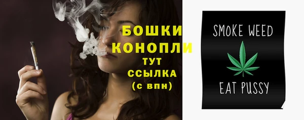 винт Майский