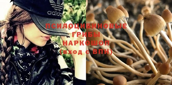 винт Майский