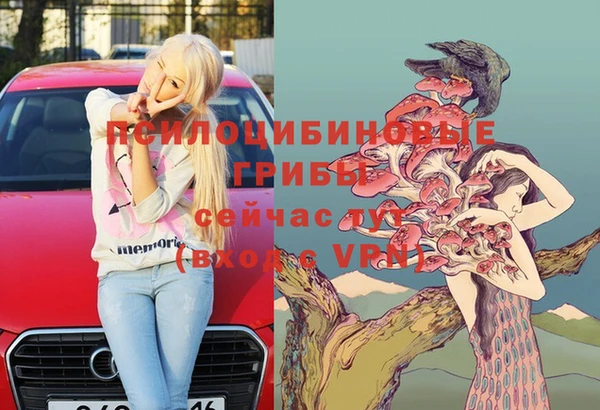 винт Майский